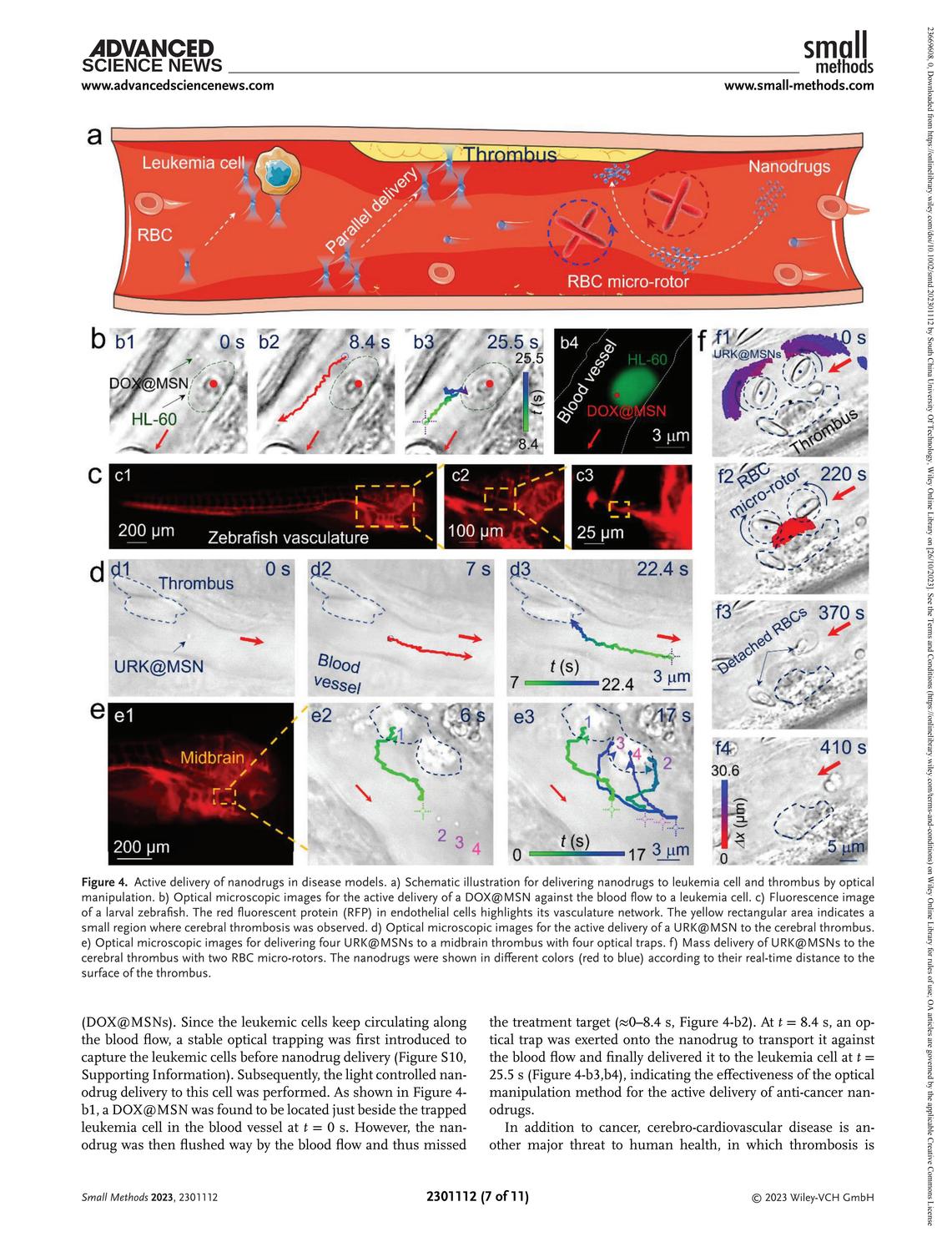 Small Methods - 2023 - Liu - Fully Active Delivery of Nanodrugs In Vivo via Remote Optical Manip.jpg