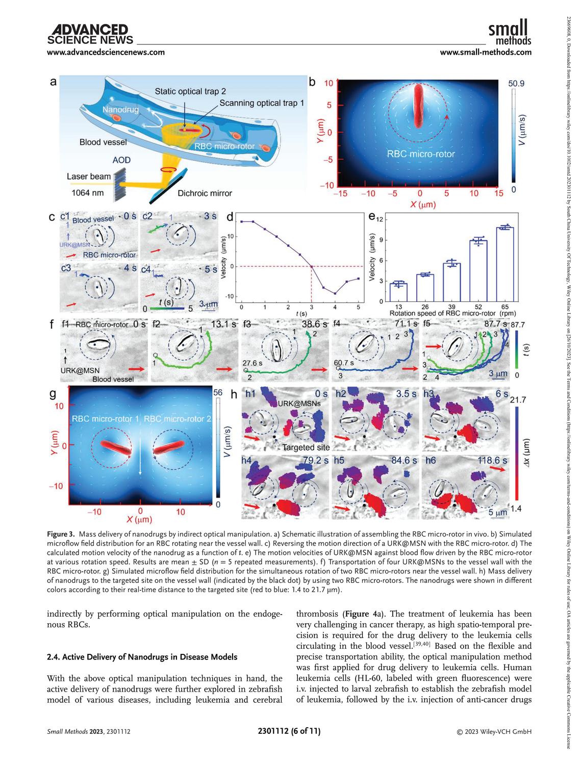 Small Methods - 2023 - Liu - Fully Active Delivery of Nanodrugs In Vivo via Remote Optical Manip.jpg